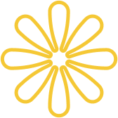 Expert Solutions for Corporate  Financial Success. - 乐球直播
