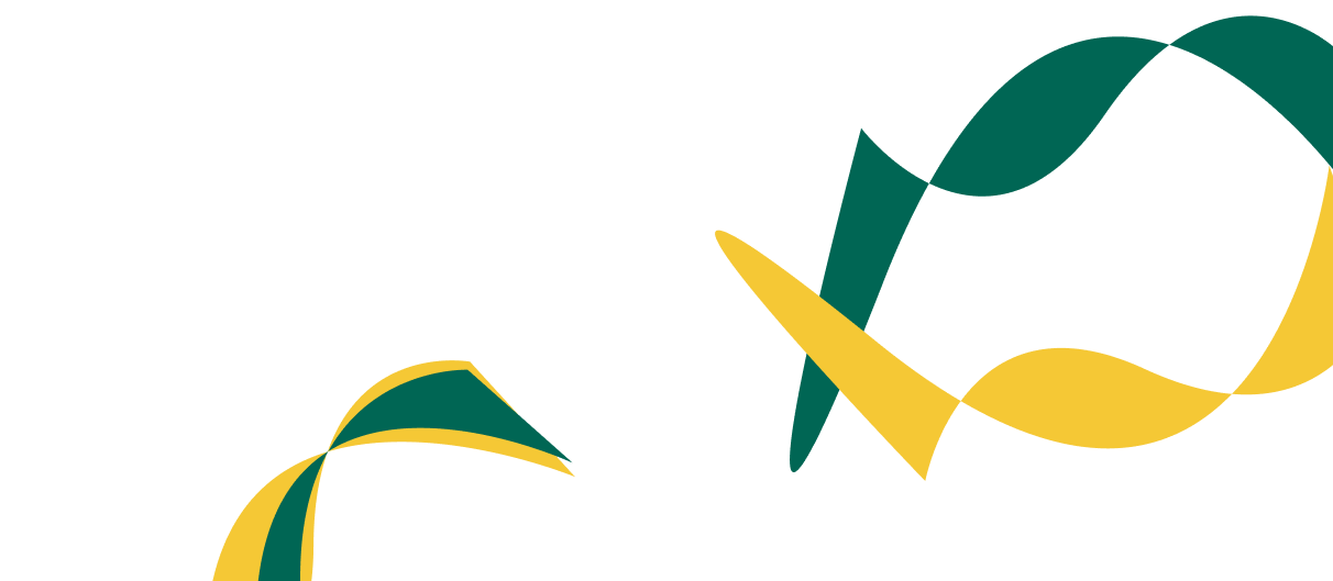 Expert Solutions for Corporate  Financial Success. - 乐球直播
